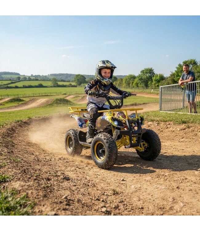48 Volt Elektro Quad mit 1000 Watt Antrieb, mit Gepäckträger