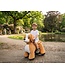 PetRide by ROLLZONE, electric dog ride-on