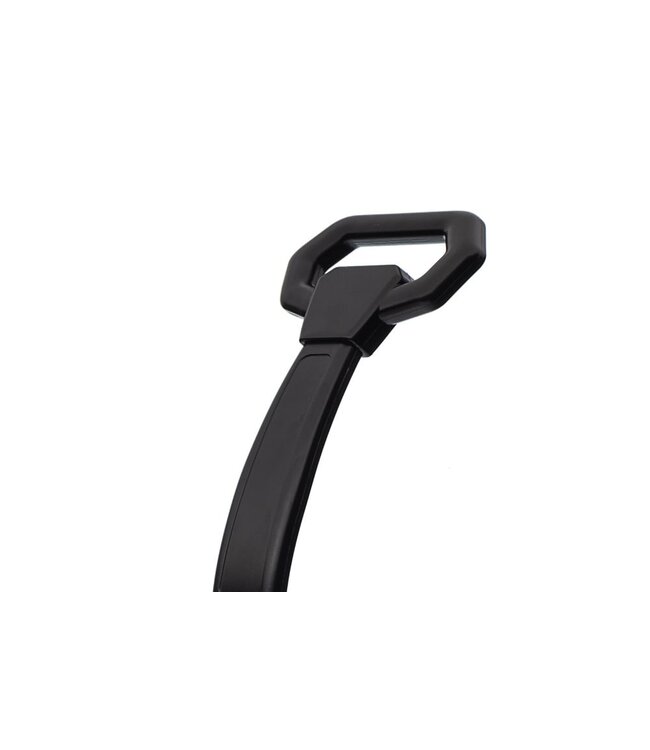 Lamborghini Sian, loopauto, duw auto, 2 in 1.