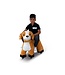 PetRide by ROLLZONE, electric dog ride-on