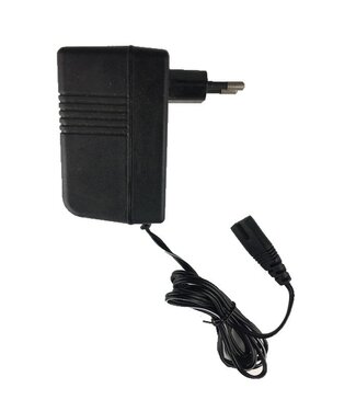 12 volt charger