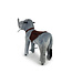MY PONY ®, Olifant rijdend speelgoed 3 - 6 jaar (ATS2011)