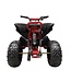 48-Volt Electric Quad with 1000-Watt Drive