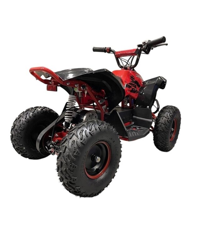 48 volt elektrische Quad met 1000 watt aandrijving