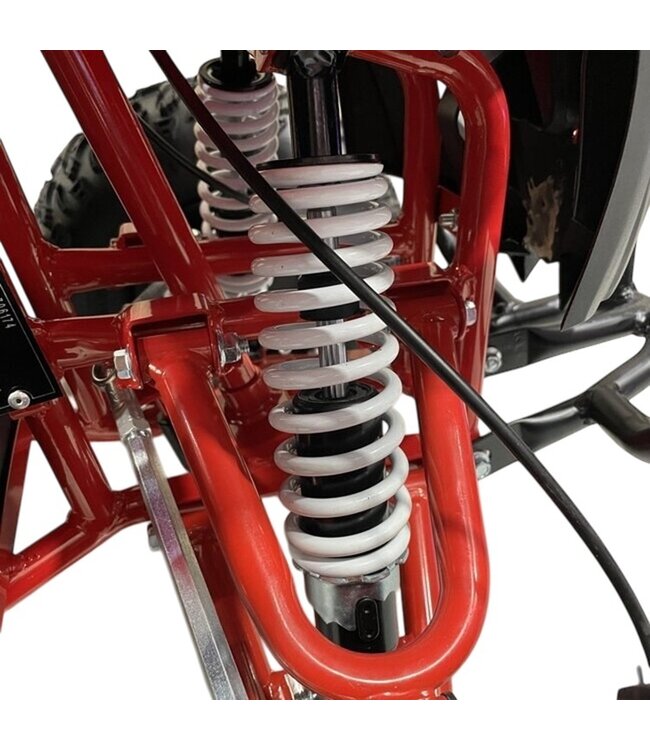 48 volt elektrische Quad met 1000 watt aandrijving