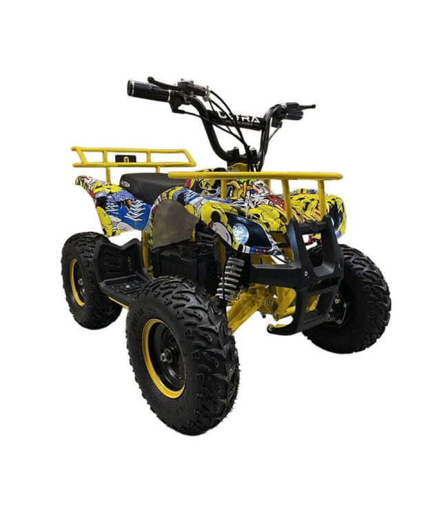 48 volt electric Quad with 1000 watt drive, with luggage rack