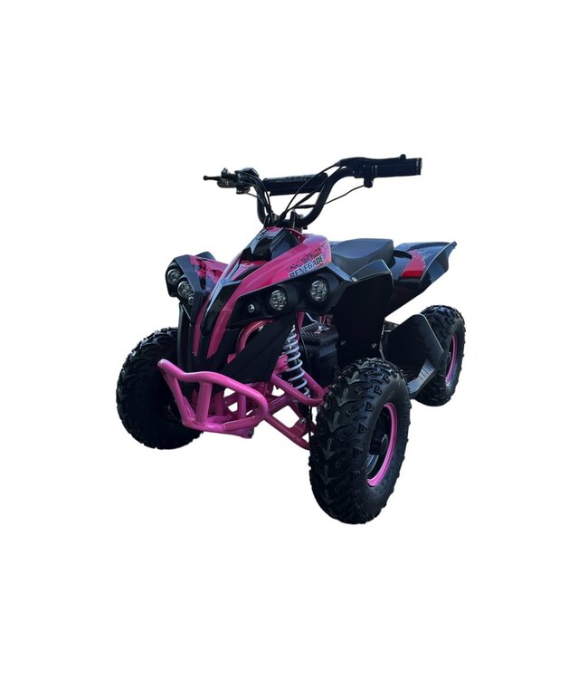 48V Brushless Kids Quad – powerful, quiet and durable