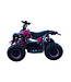 48-Volt Electric Quad with 1000-Watt Drive