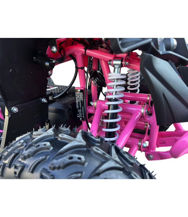 48V Brushless Kids Quad – powerful, quiet and durable