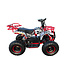 48 volt electric Quad with 1000 watt drive, with luggage rack