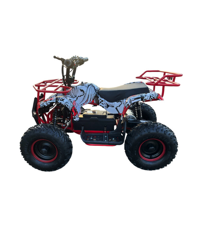 48 volt elektrische Quad met 1000 watt aandrijving, met bagagerek