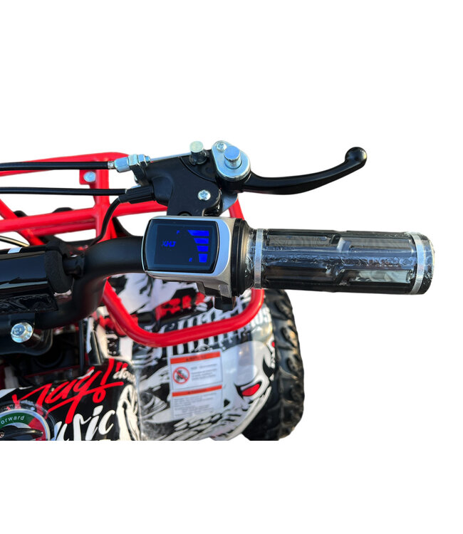 48 volt elektrische Quad met 1000 watt aandrijving, met bagagerek