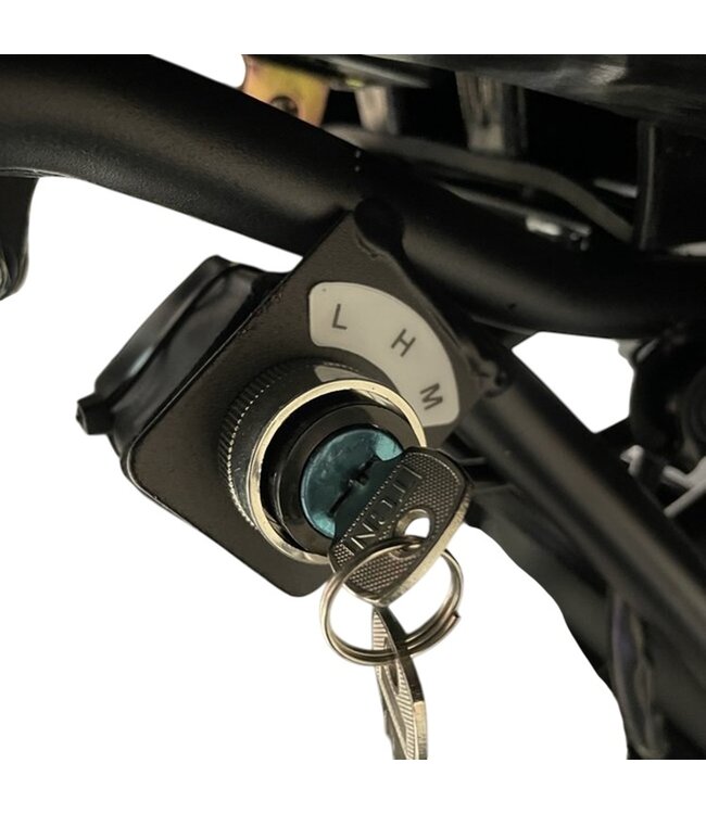 Quad pour enfants sans balais 48V – puissant, silencieux et durable