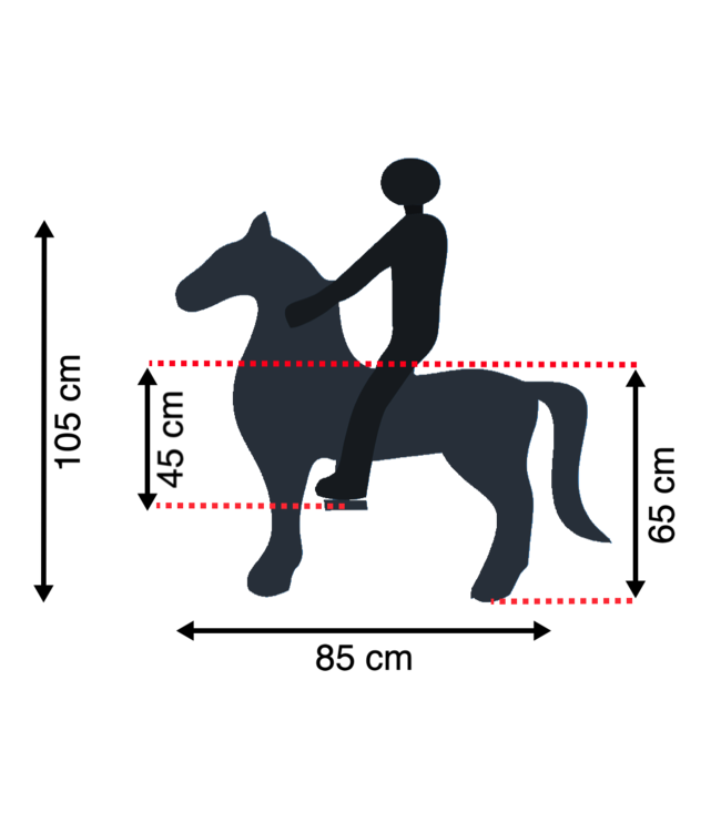 MY PONY, cheval jouet d'équitation de ROLLZONE®, 4 - 10 ans (MP2042-M)