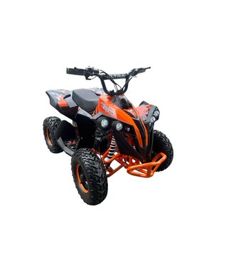 Quad ATV 48 volts 1000 watts de puissance
