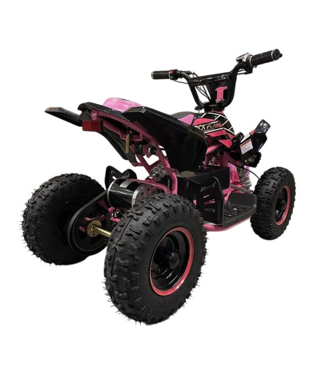 36 volt elektrische Quad met 1000 watt aandrijving