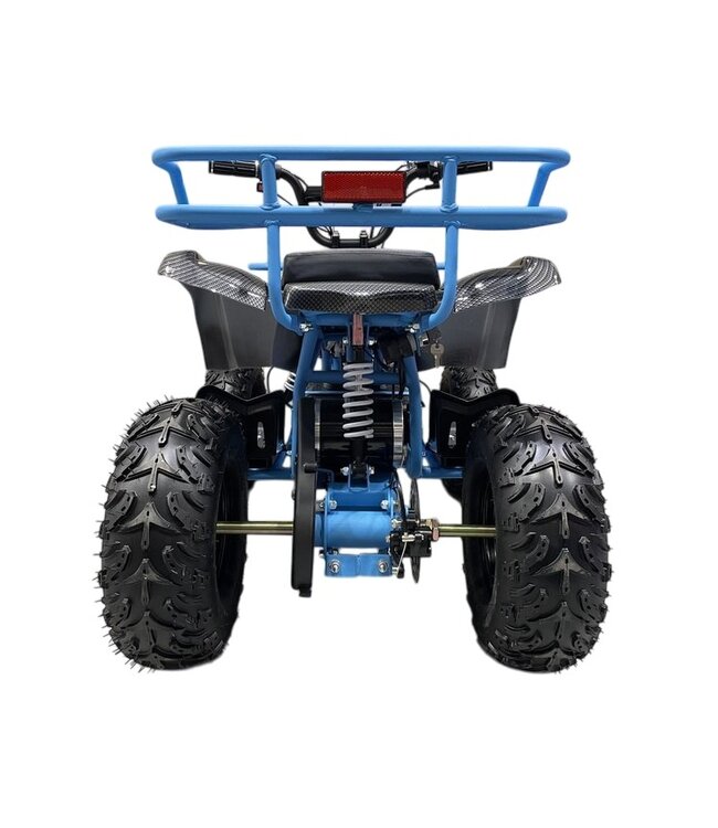 Quad électrique 48 volts avec 1000 watts de puissance, avec porte-bagages