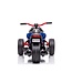 Trike Streetfighter 24V Electric Trike