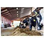 Éclairage LED pour les écuries