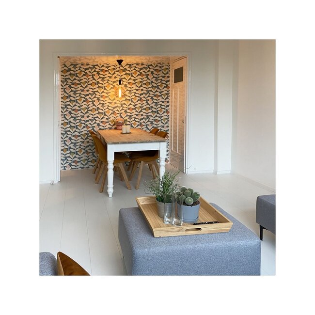 Douwes Dekker brede Plank Koriander