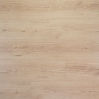 Douwes Dekker Douwes Dekker Brede Plank Vijg