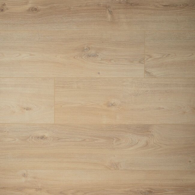 Douwes Dekker Extra Lange Plank Komijn