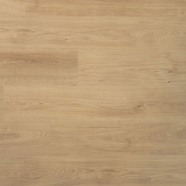 Douwes Dekker Plank Nootmuskaat