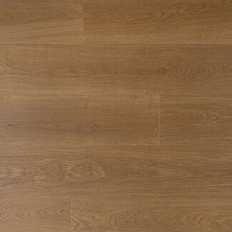 Douwes Dekker Douwes Dekker Plank Salie