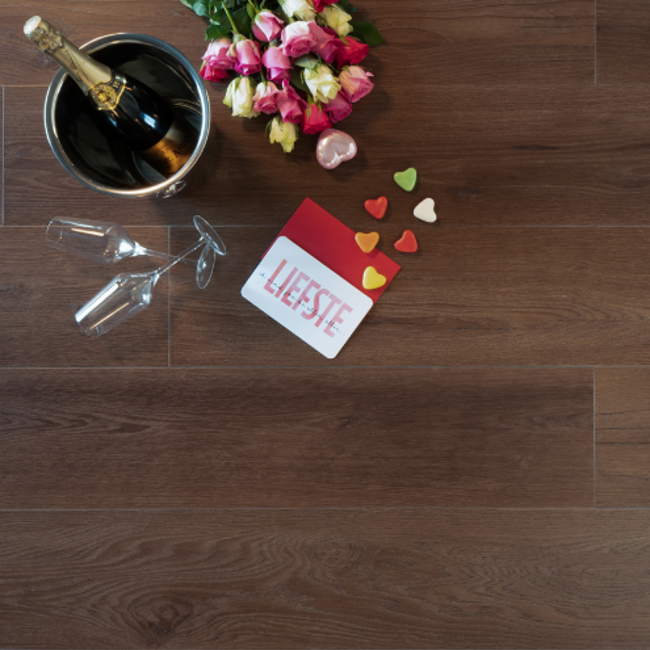 Douwes Dekker Plank Bastognekoek