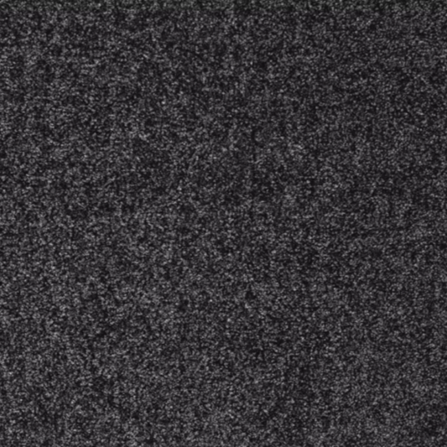 OTIUM Entreemat functioneel grijs 100 cm breed