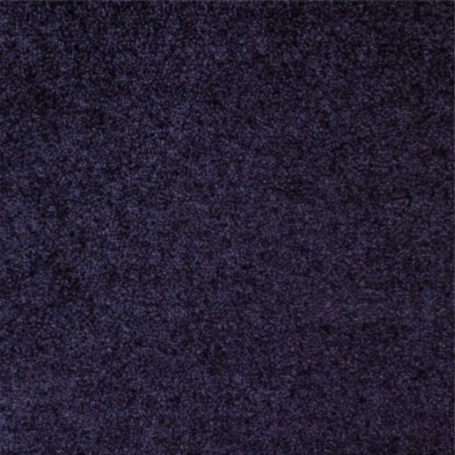 OTIUM Entreemat functioneel antraciet 100 cm breed