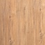 FLOORWORLD Napoli Goud Eiken Laminaat