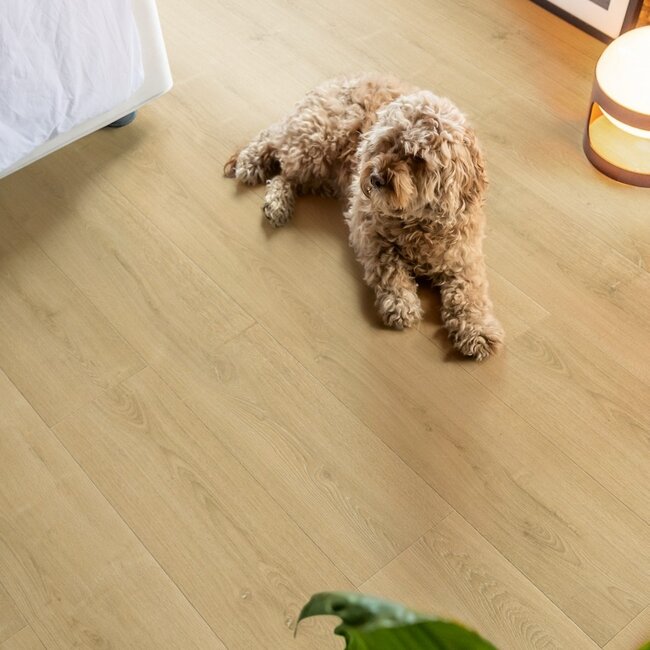 Quick-Step Capture Geborstelde naturelle eik