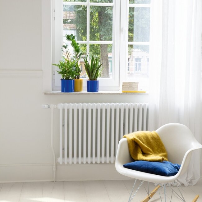 Quick-Step Capture Witgeverfde eik