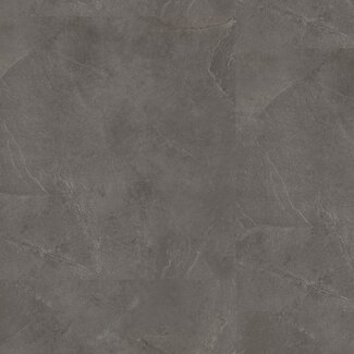 Ambiant Ambiant Noveno Click SRC Dark Grey