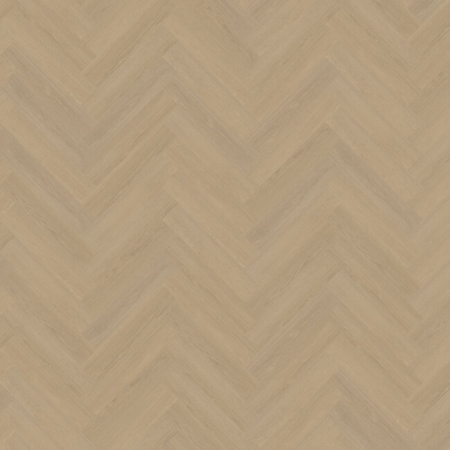 Belakos Futuro visgraat 52 | Rigid Click