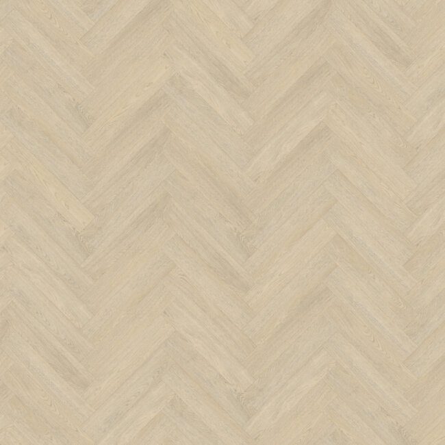 Belakos Terreno visgraat 62 | Rigid Click