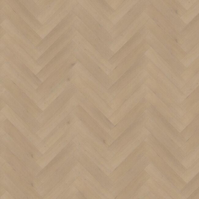 Belakos Palazzo visgraat 77 | Rigid Click