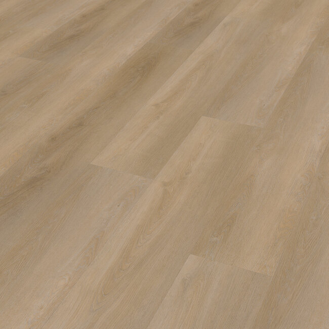 Belakos Attico 810 | Rigid Click