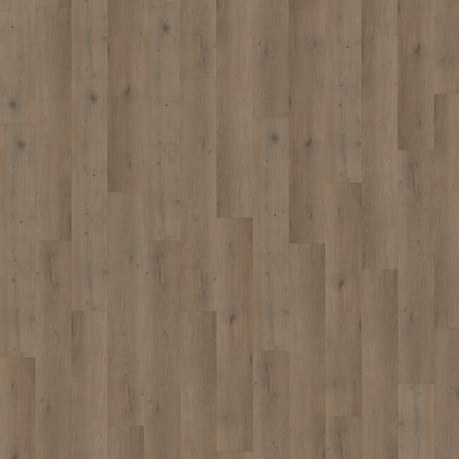 Belakos Attico 840 | Rigid Click