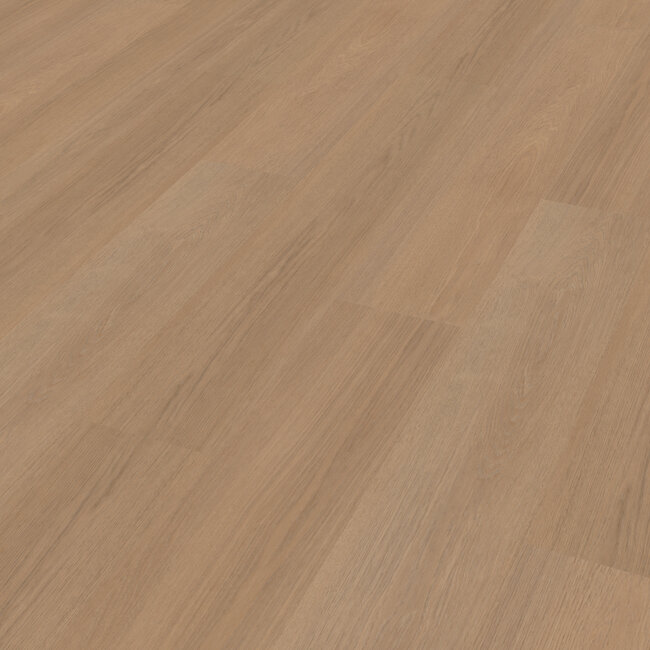 Belakos Futuro 500 | Rigid Click PVC