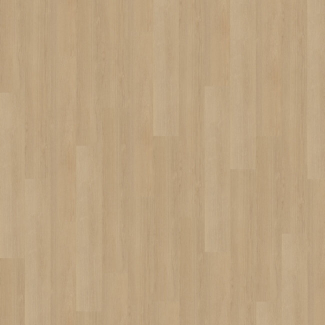 Belakos Futuro 510 | Rigid Click PVC