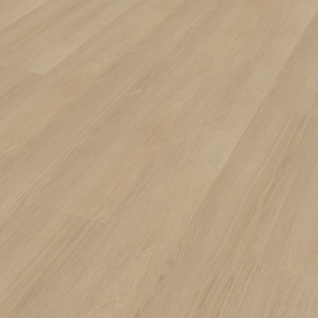 Belakos Futuro 520 | Rigid Click PVC