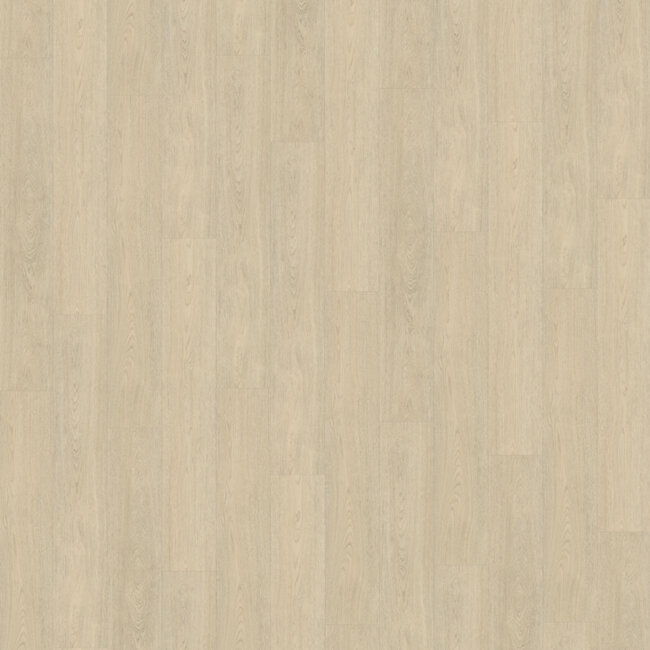 Belakos Terreno 620 | Rigid Click PVC