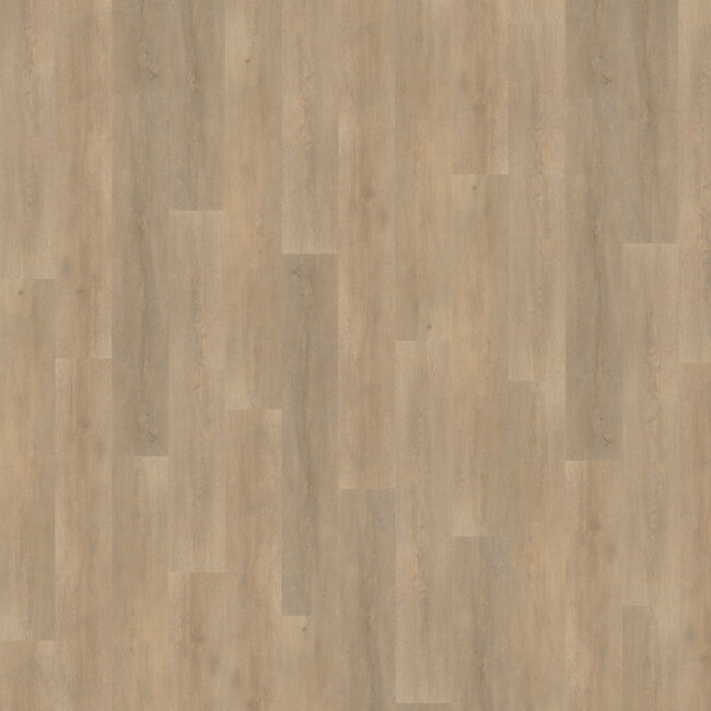 Belakos Palazzo 710 | Rigid Click