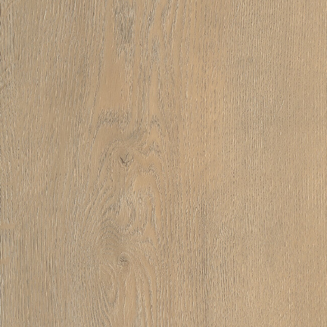 Belakos Palazzo 710 | Rigid Click