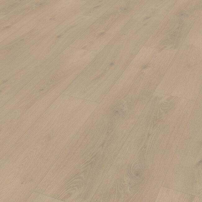 Belakos Palazzo 740 | Rigid Click