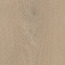 Belakos Palazzo 740 | Rigid Click