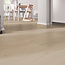 Belakos Palazzo 740 | Rigid Click