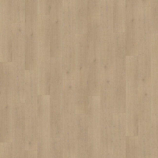 Belakos Palazzo 770 | Rigid Click PVC